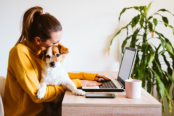 Home-office-pets