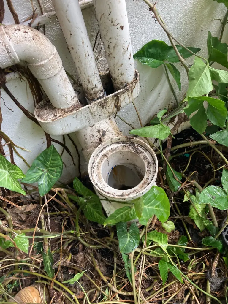 Blocked Stormwater Drain Cannon Hill, Brisbane: Expert Clean