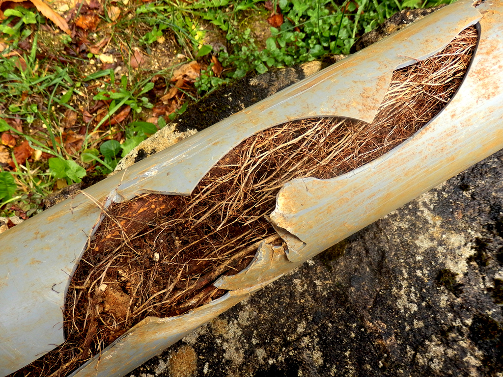 Broken-Sewer-Line-