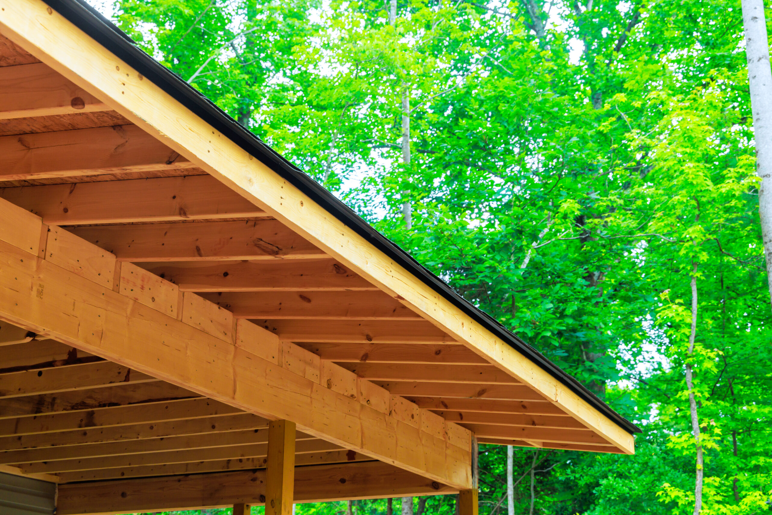 Timber carport roofing against greenery backdrop.