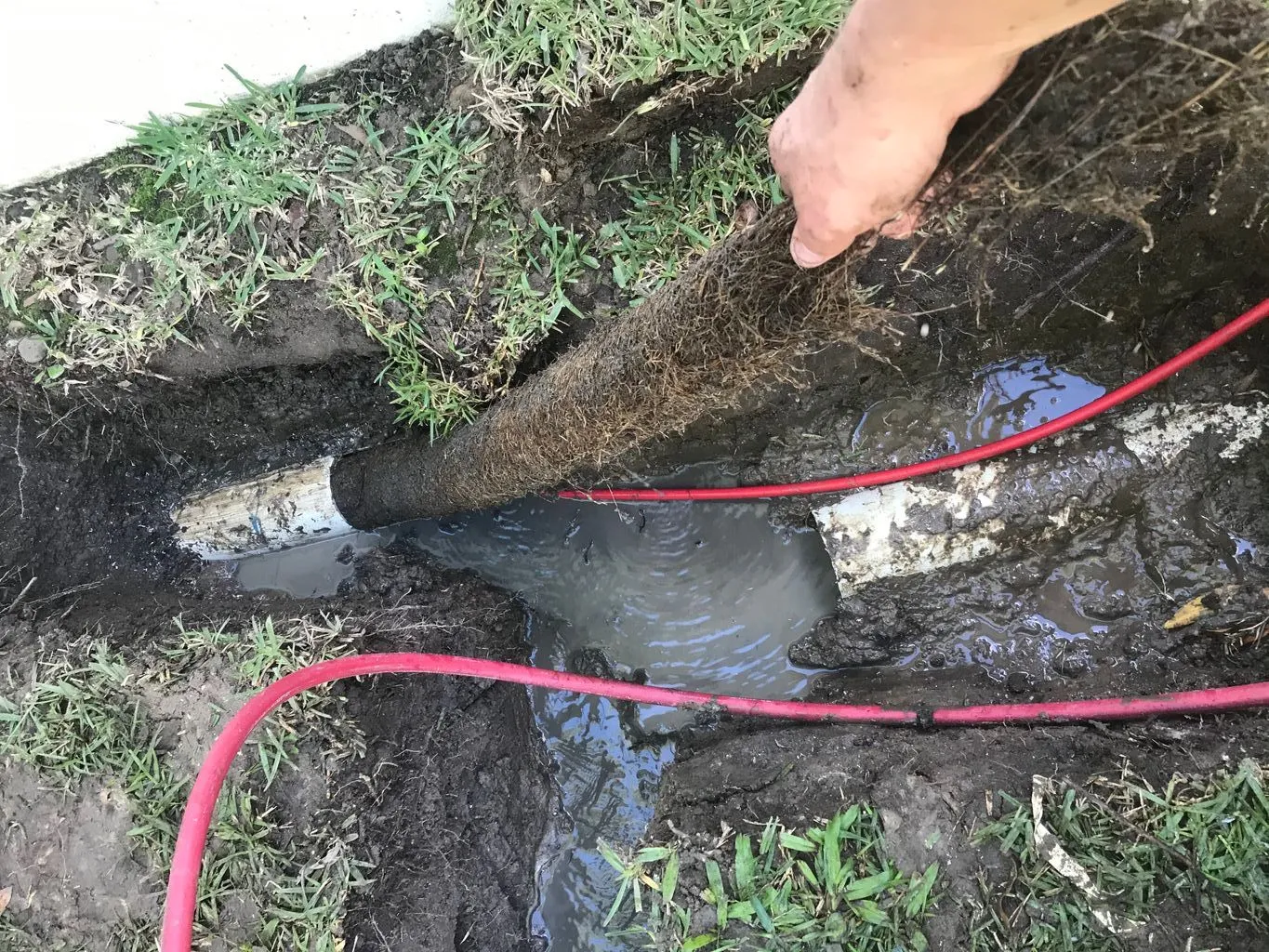 blocked-stormwater-drain