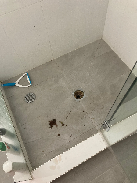 Image of client's blocked shower drain in Carindale.