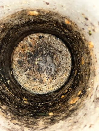 CCTV footage from inside the drain, totally blocked by fats and grease at a home in Forest Lake.