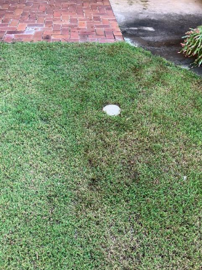 ground above drainage after pipe relining at a property in cleveland