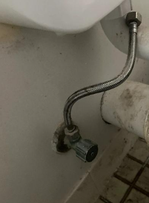 An image of the brand new flexi hose installed onto the toilet as part of this bathroom plumbing upgrade in Robina.