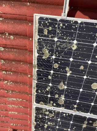 dirty solar panel covered in animal droppings at a property in Chermside