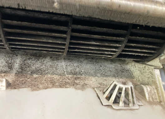 mouldy split system air conditioner to be cleaned at a property in Southport