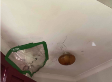 Ceiling Repair at a Property in Belmont