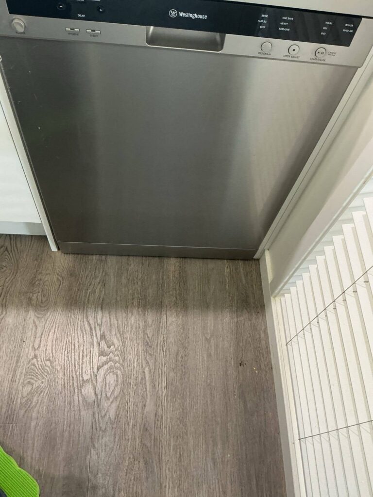 dishwasher replacement carina