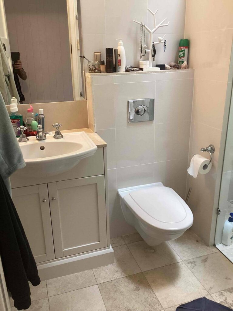 toilet replacement bardon