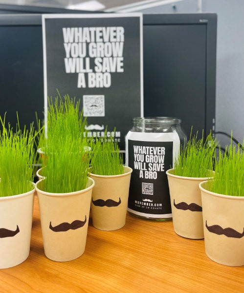 Fallon grass heads for Movember growing well