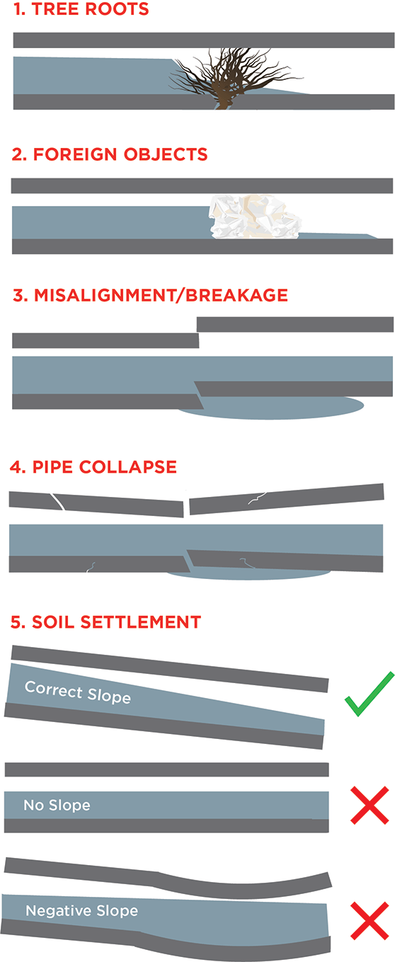 Drain Clearing Infographic